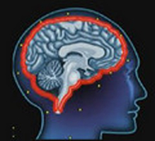 Barrière hemato encephalique smartphone cerveau