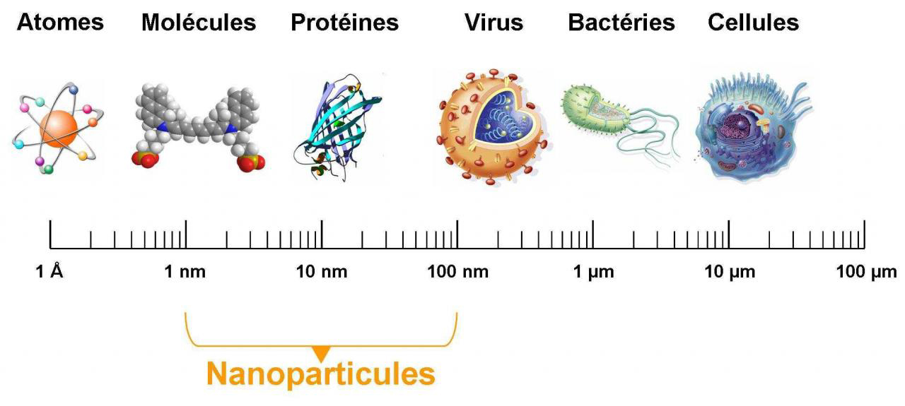 schema nanoparticules